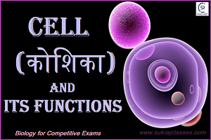 Cell In Human Body-sukrajclasses.com