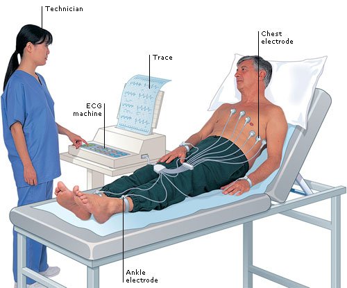 ECG-sukrajclasses.com