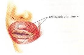 orbicularis muscles -sukrajclasses