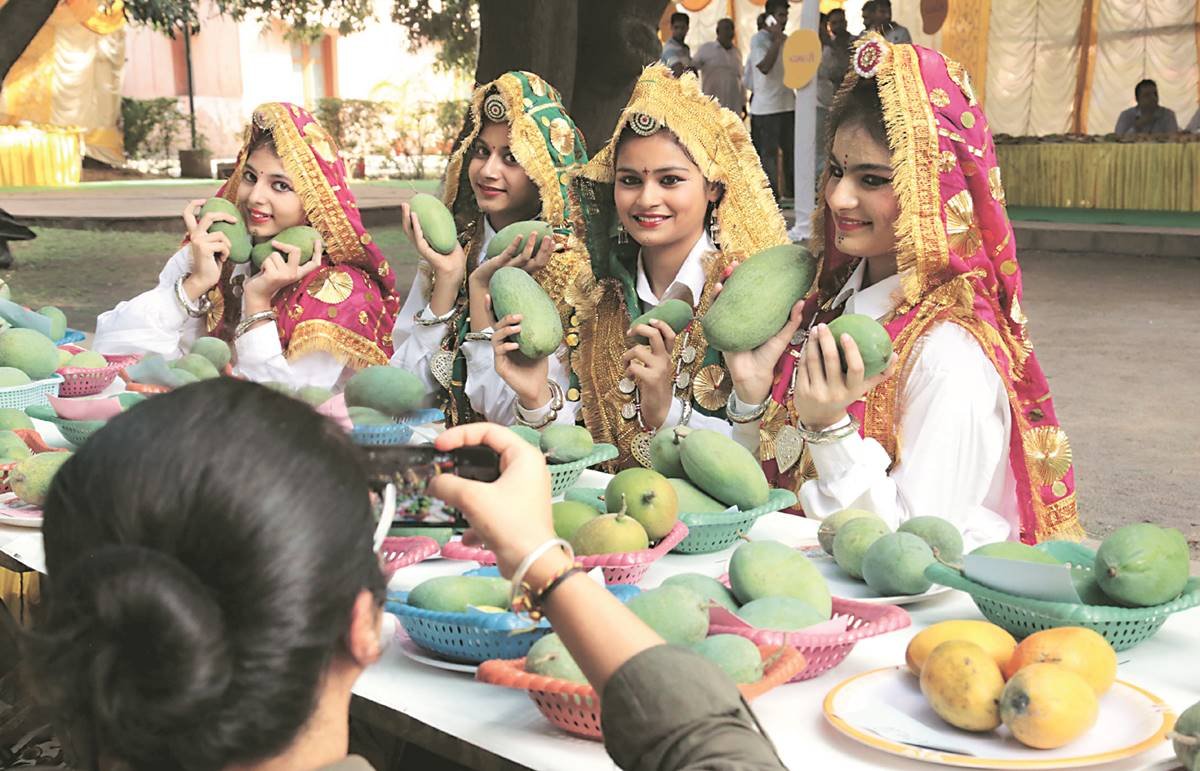 मेंगो मेला- हरियाणा के प्रमुख त्यौहार (Festivals in Haryana)-sukrajclasses.com