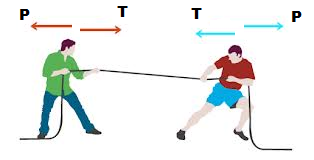 Tension force-Force & Its Types - sukrajclasses.com