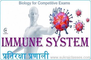 Immune System Of Human Body (प्रतिरक्षा तंत्र)- Biology