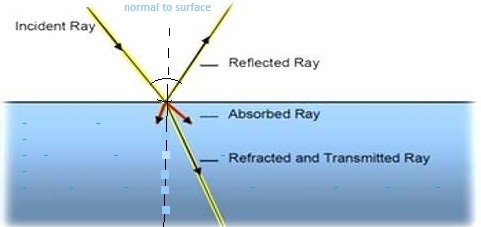 phenomena of light sukrajclasses.com