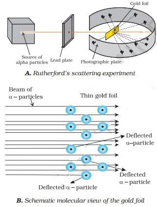 RUTHERFORD’S MODEL OF AN ATOM sukrajclasses.com