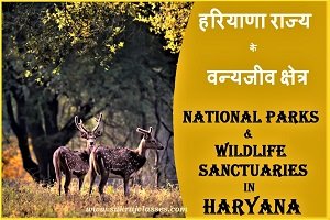 हरियाणा राज्य के वन्यजीव क्षेत्र - National Parks And Wildlife Sanctuaries In Haryana-www.sukrajclasses.com